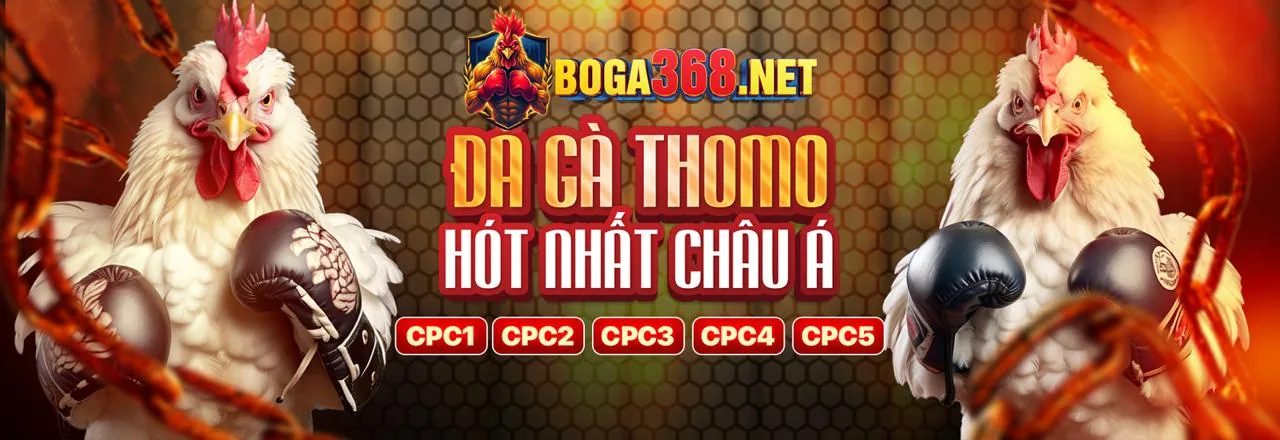 Đá gà trực tuyến kịch tính tại ae888 code